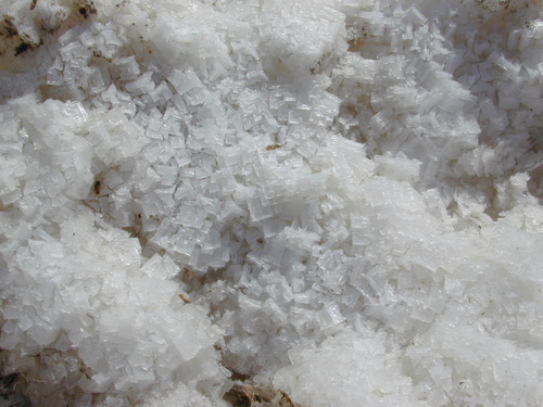 Salt Crystals by Dawn Endico, flickr.com.jpg
