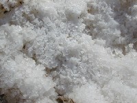 Salt Crystals by Dawn Endico, flickr.com.jpg