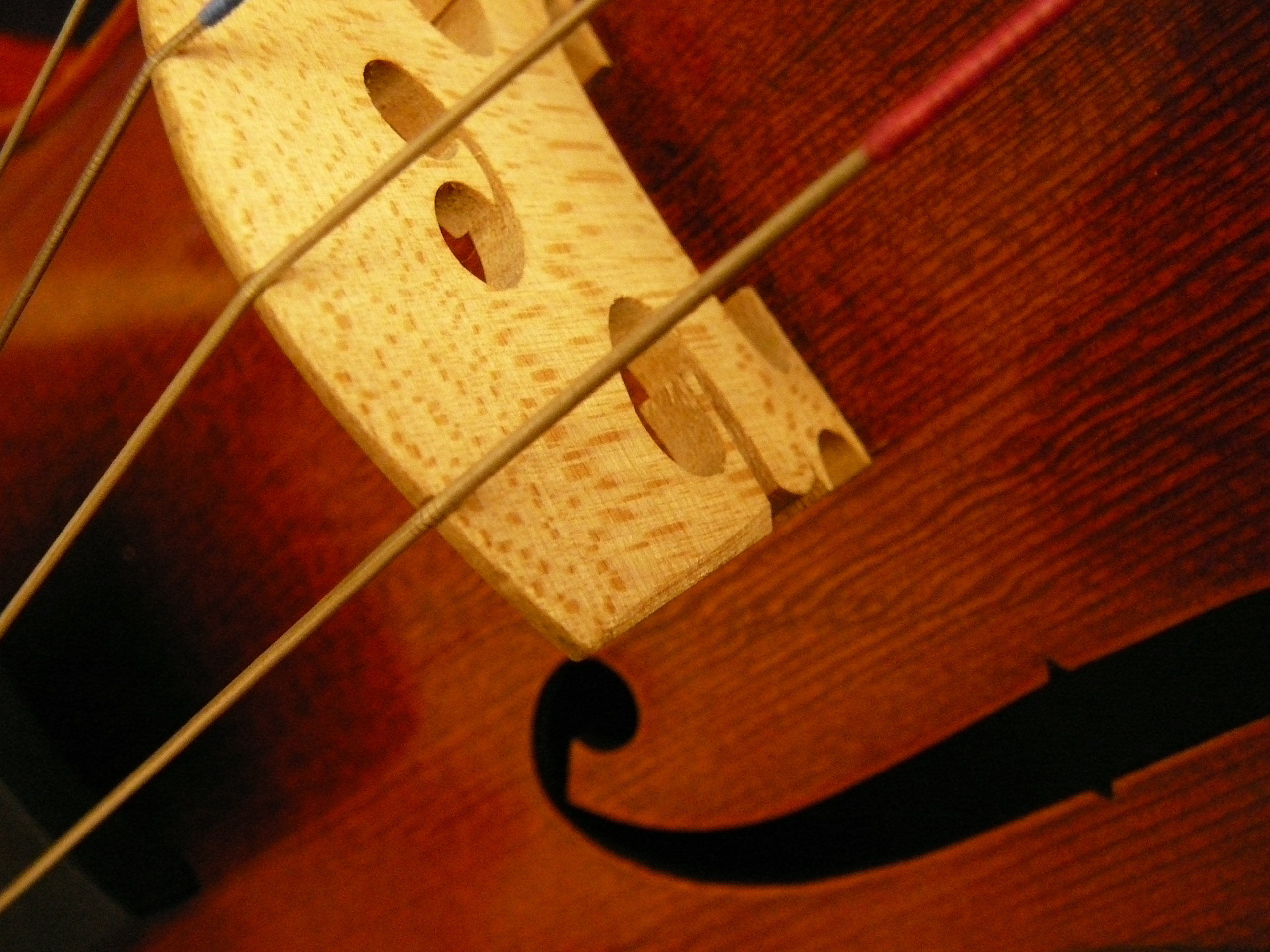 Detail Violine 5.JPG