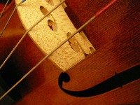 Detail Violine 5.JPG