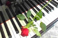 Klaviertasten mit Rose 1 klein.jpeg