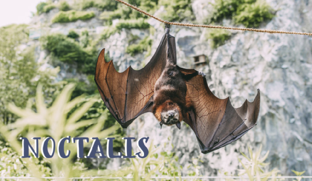 Bildschirmfoto 2025-10-29 um 20.40.32.png