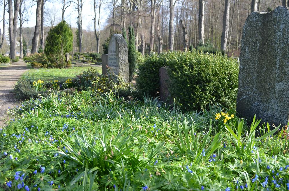Friedhof Aktion Frühjahrszwiebeln.jpg