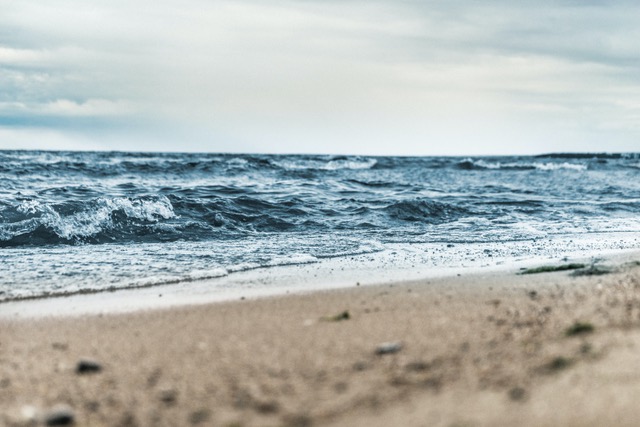 Ostsee-ant-rozetsky-unsplash.jpeg