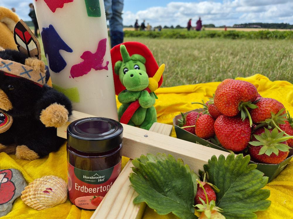 Kinderkirche Erdbeeren Feld 20250625_155337.jpg