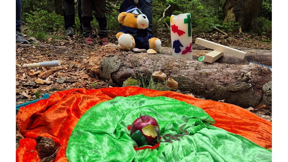 Im Segeberger Forst Mai 2025.jpg