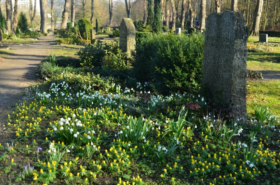 Foto zur Aktion Bunter Friedhof.jpg