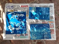 Die Cyanotypie, auch als Eisenblaudruck bezeichnet, ist ein altes fotografisches Verfahren.