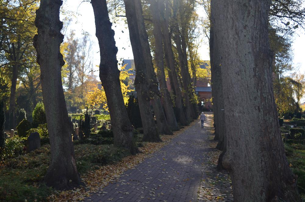 Herbst: Lindenallee