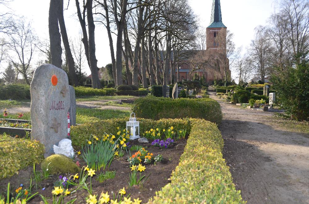 Frühling: Friedhof Marienkirche