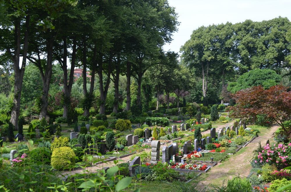 Sommer: Friedhof Marienkirche Feld 5 - 9