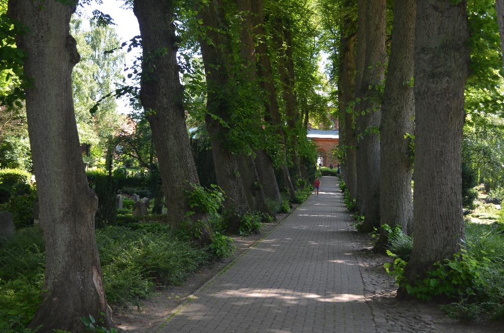 Sommer: Lindenallee