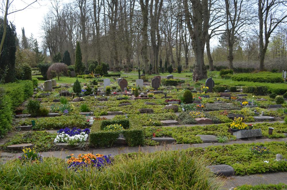 Frühling: Blick Friedhof Segeberger See