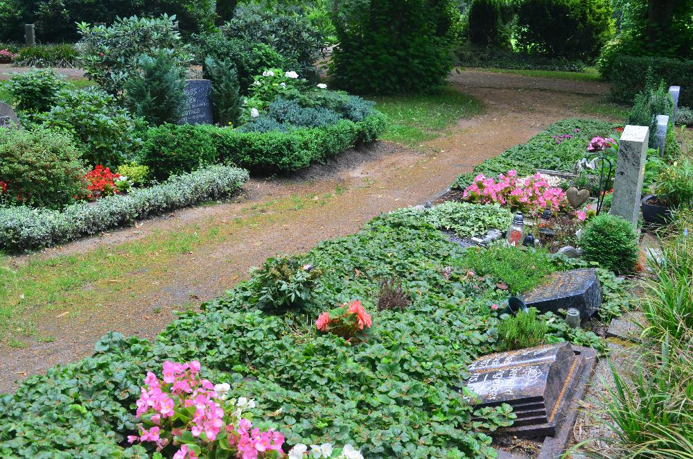 Sommer: Urnenfeld am Segeberger See