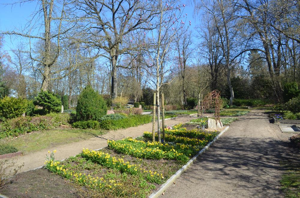 Frühling: Sternenfeld
