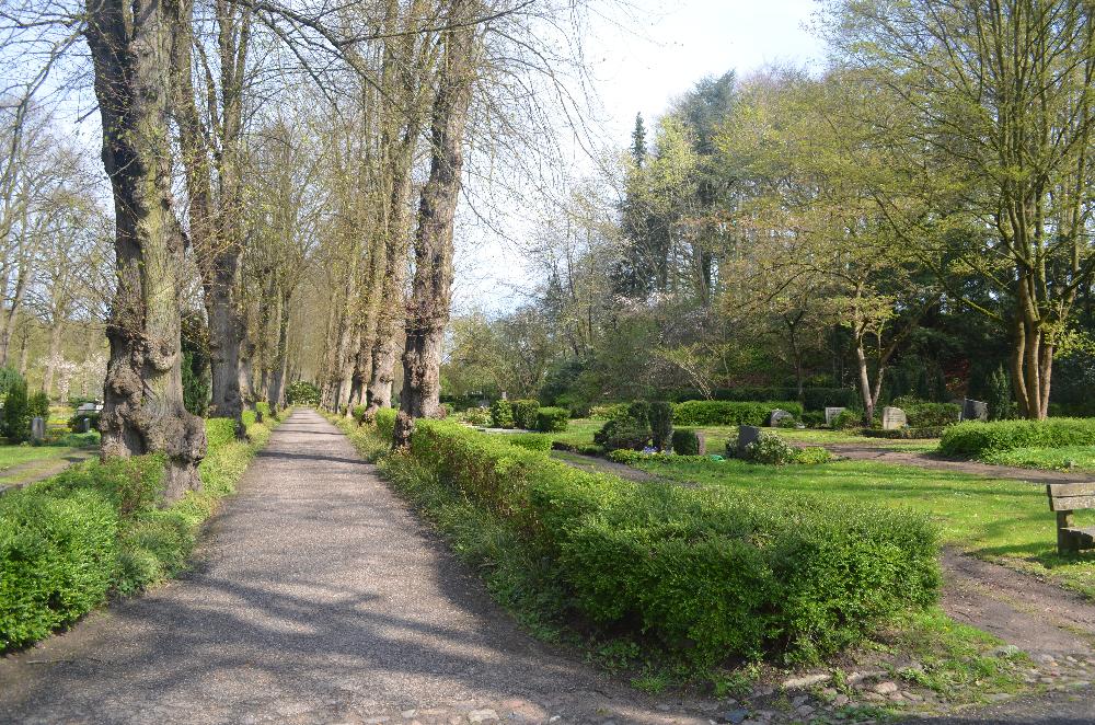 Frühling: Friedhof Segeberger See