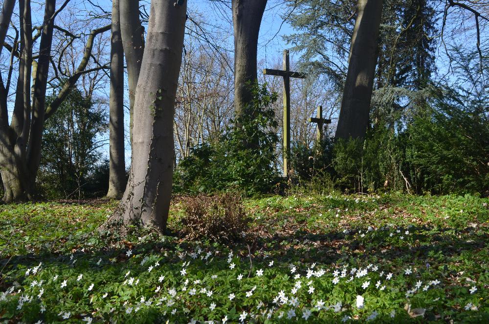 Frühling: Ehrengräber am Segeberger See