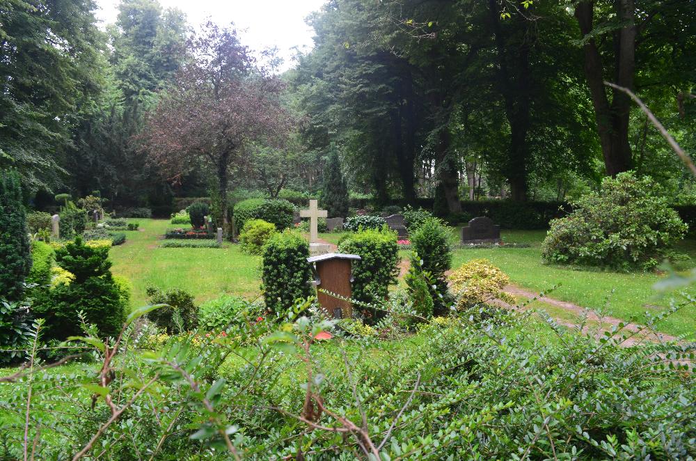 Sommer: Blick auf Feld D - F