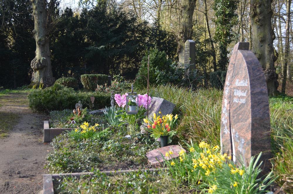 Frühling: Blick auf den Friedhof am Segeberger See