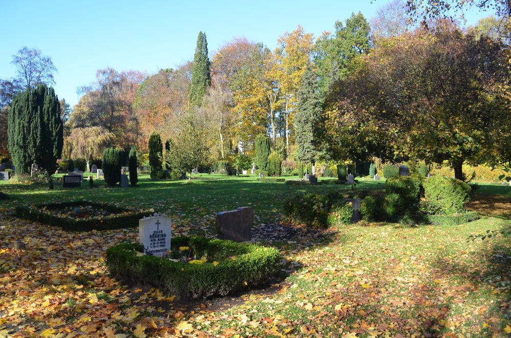 Herbst: Blick auf Feld D