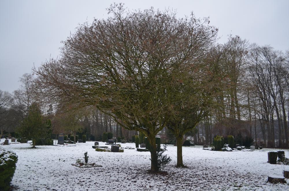 Winter: Friedhof Kastanienweg