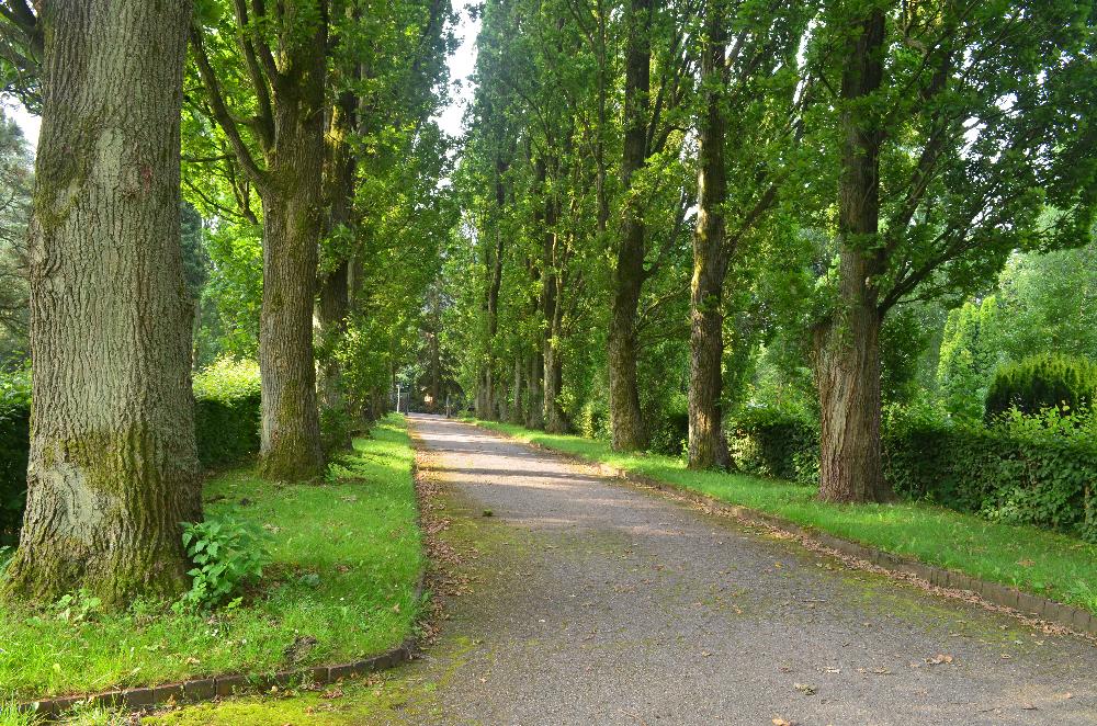 Herbst: Friedhof am Kastanienweg