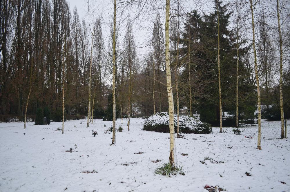 Winter: Urnengräber Birkenhain