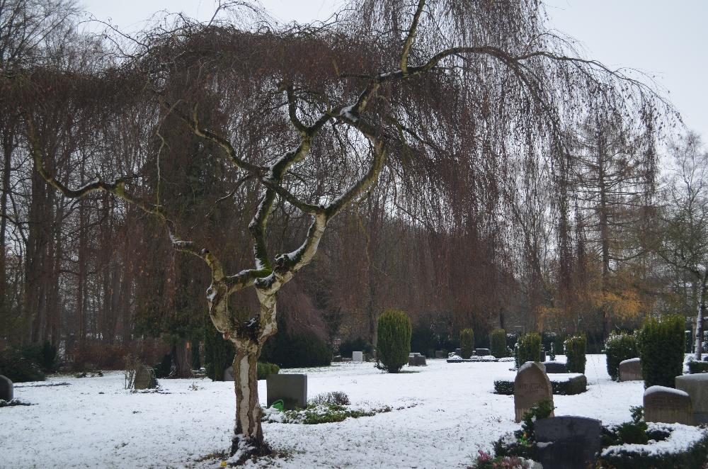 Winter: Blick über den Friedhof am Kastanienweg