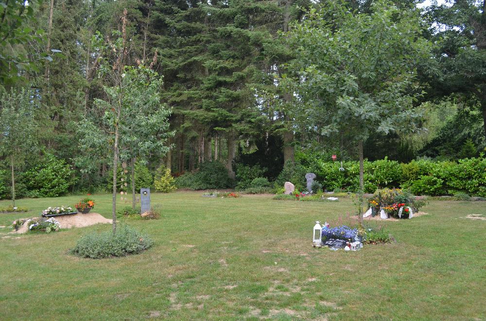 Herbst: Der Apfelgarten
