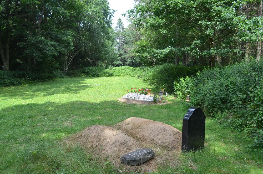 Sommer: Blick über den islamischen Friedhof