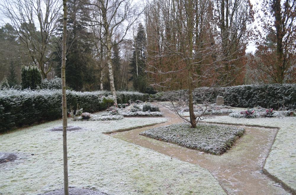 Winter: Blick auf den Kirschgarten