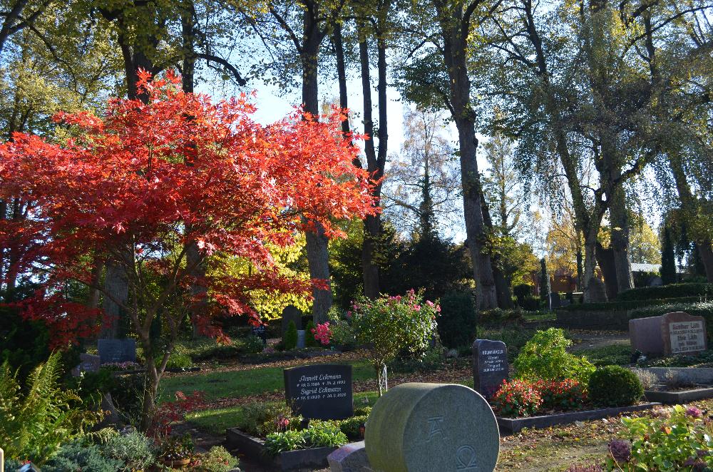 Grabpflege Herbst