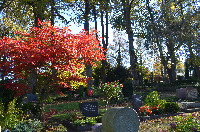 Grabpflege Herbst