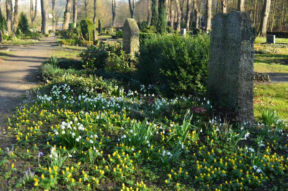 Bunter Friedhof an der Marienkirche