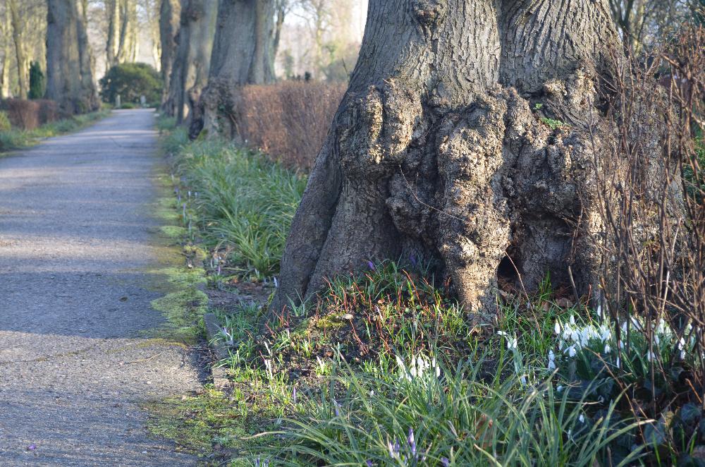 Bunter Friedhof am Segeberger See