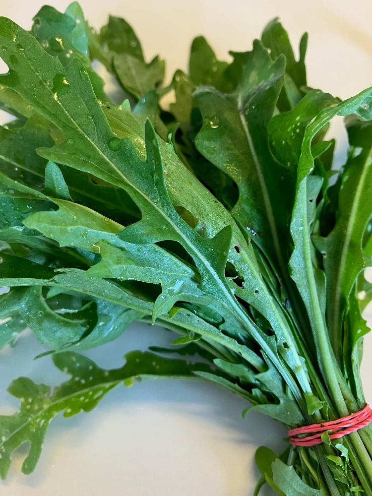 Rucola.jpg