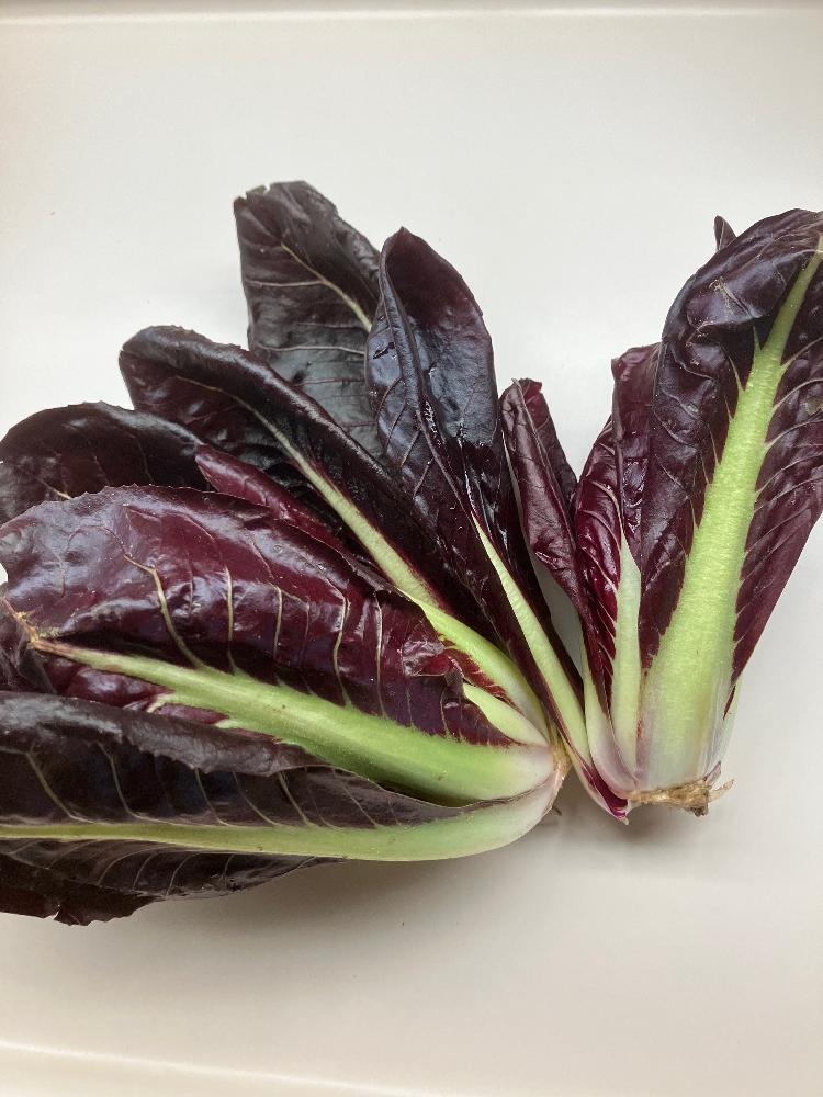 Radicchio.jpg
