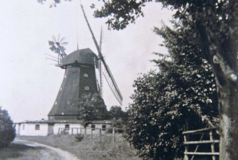 Rickling Mühle Bild 6 Mit Flügeln.JPG